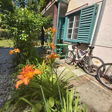 Garden Budha Relax Apartman, Parking, Bbq, Terrace Siófok Zewnętrze zdjęcie