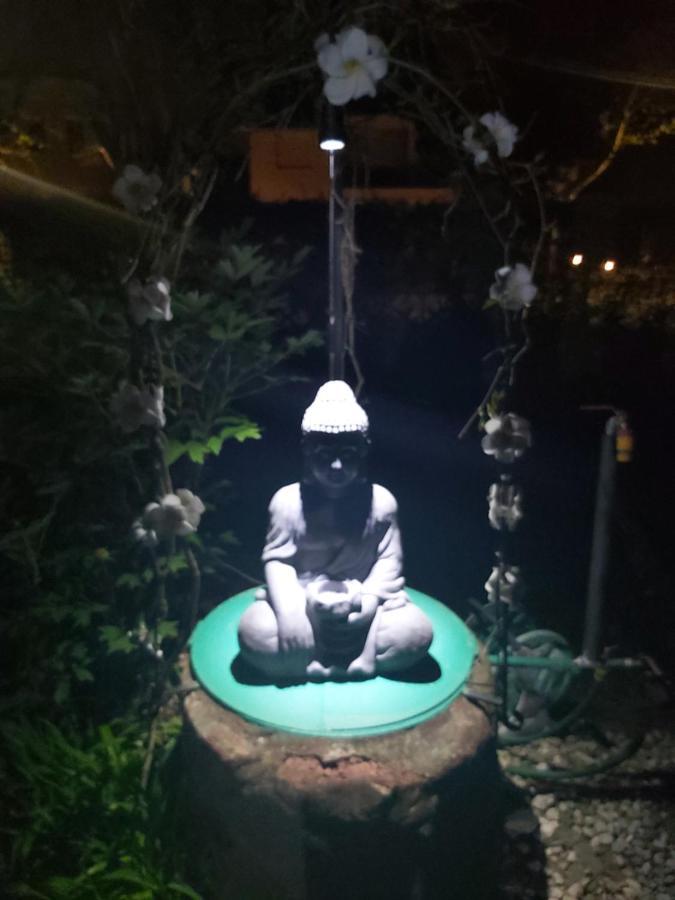 Garden Budha Relax Apartman, Parking, Bbq, Terrace Siófok Zewnętrze zdjęcie