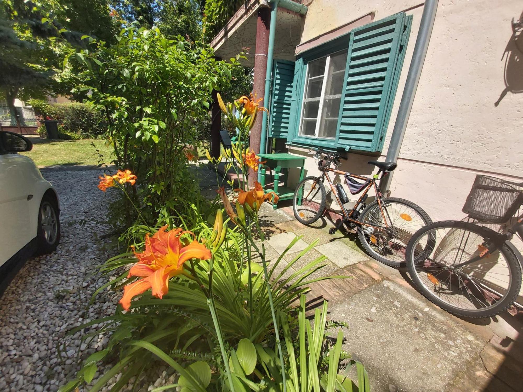 Garden Budha Relax Apartman, Parking, Bbq, Terrace Siófok Zewnętrze zdjęcie