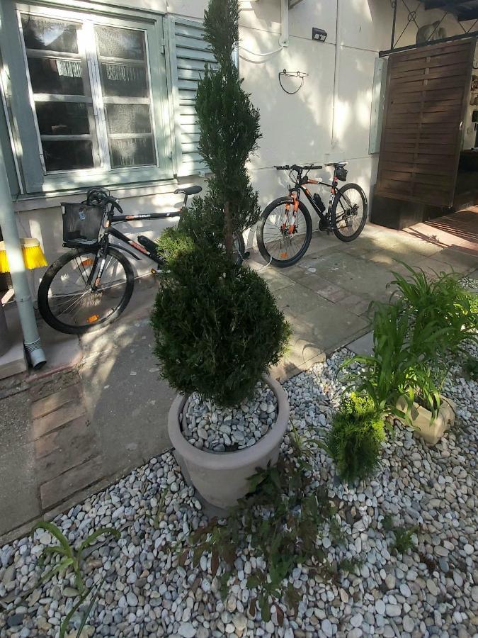 Garden Budha Relax Apartman, Parking, Bbq, Terrace Siófok Zewnętrze zdjęcie