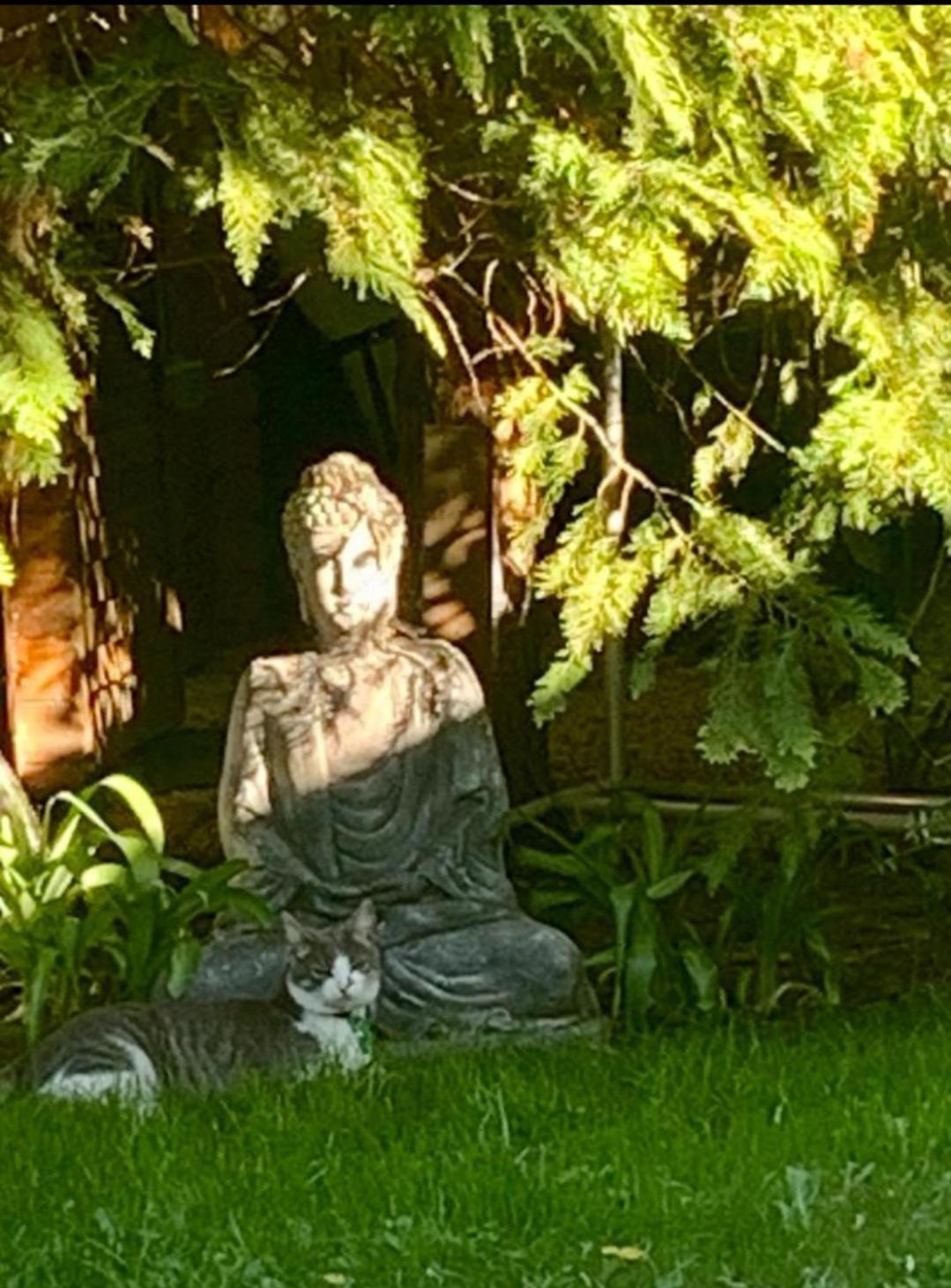 Garden Budha Relax Apartman, Parking, Bbq, Terrace Siófok Zewnętrze zdjęcie